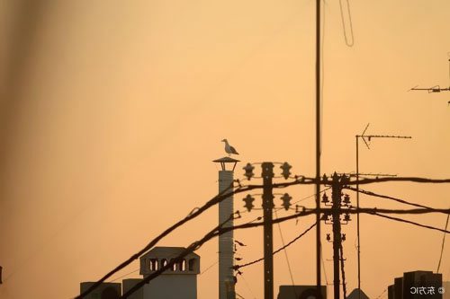 控制二次回路接線應符合哪些要求？